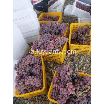 2019 წლის ახალი მოსავალი Xinjiang ყურძენი კარგი ფასით